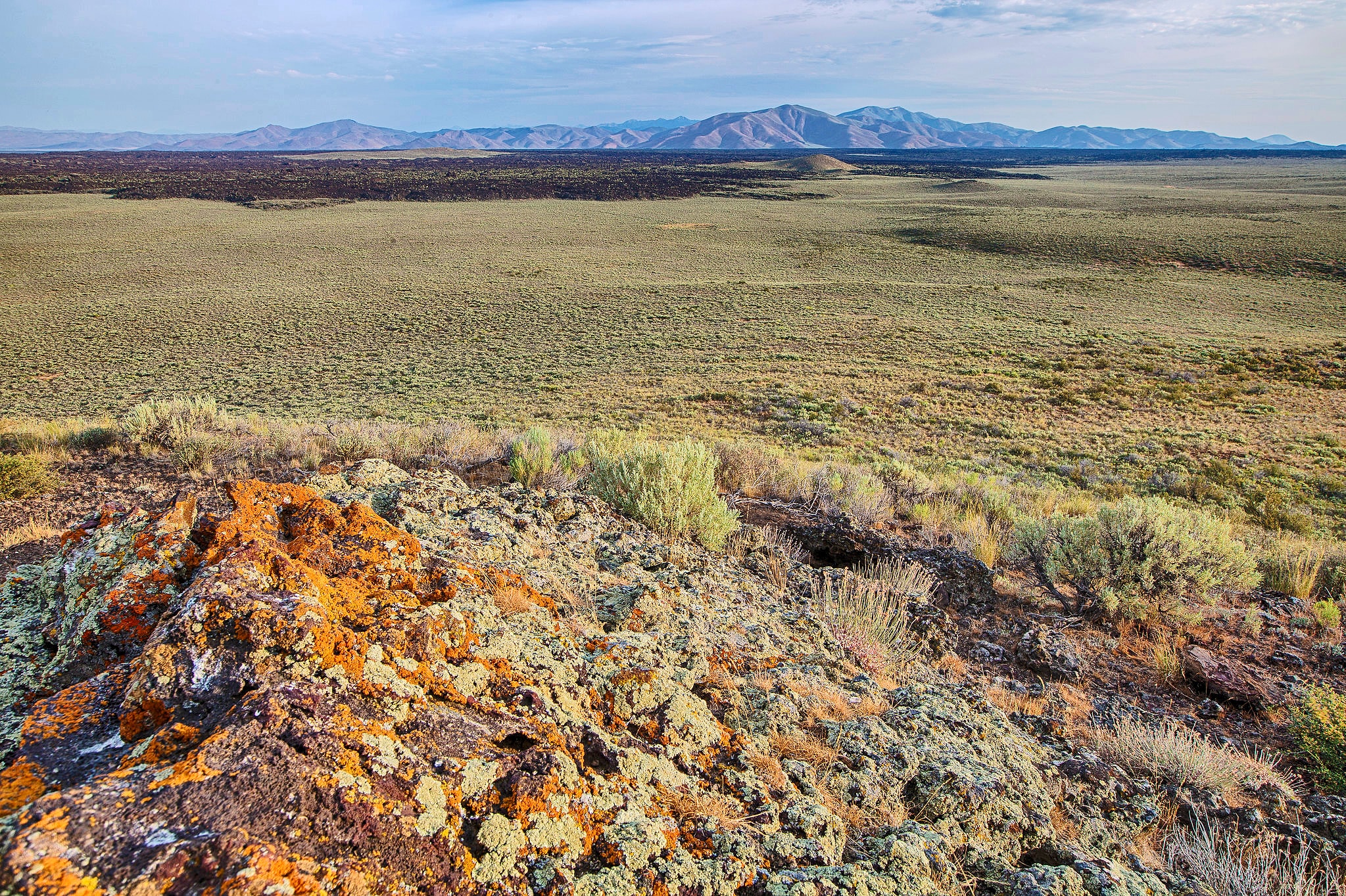 Rugged Site Development